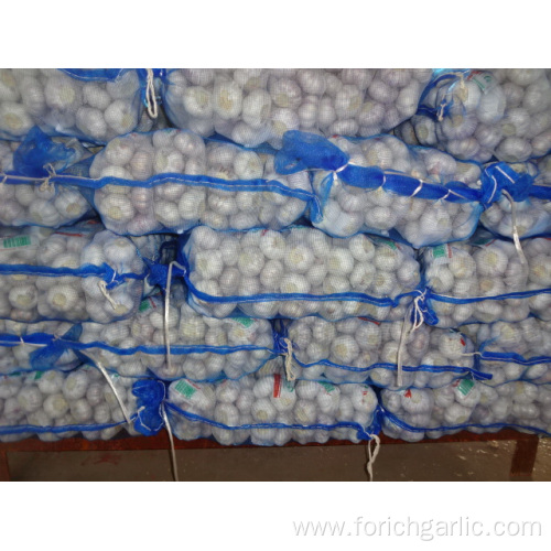 Fresh Normal White Garlic New Crop 2019